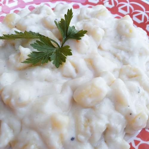 Nhoque Quatro Queijos