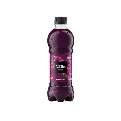 Suco Del Valle 450ml