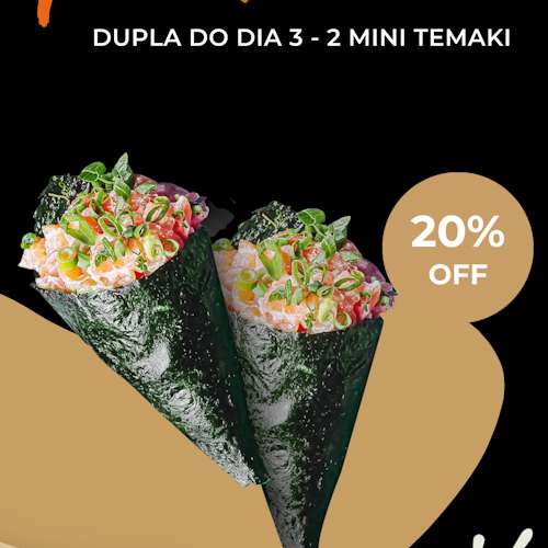 Dupla do dia 3 | 2 Mini Temakis 